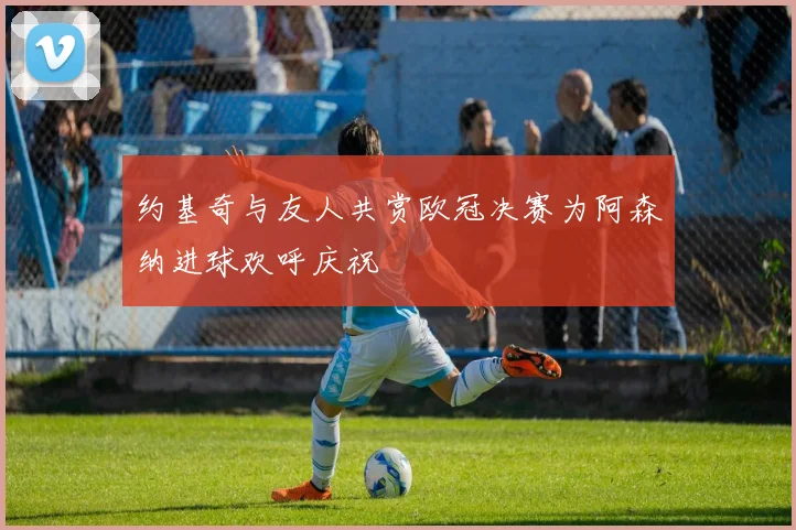 约基奇与友人共赏欧冠决赛为阿森纳进球欢呼庆祝