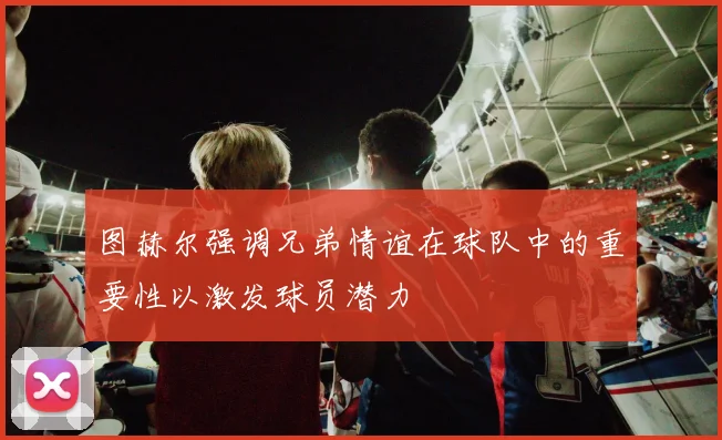图赫尔强调兄弟情谊在球队中的重要性以激发球员潜力