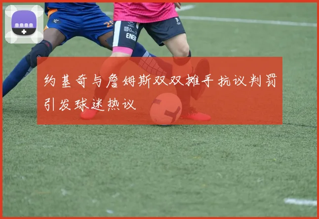 约基奇与詹姆斯双双摊手抗议判罚引发球迷热议
